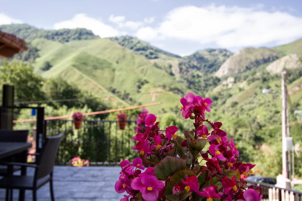 Hotel La Casona De Llerices Onís Dış mekan fotoğraf